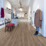 ПВХ пол: Виниловый ламинат WINEO 600 DB Wood #CozyPlace замок | RLC186W6